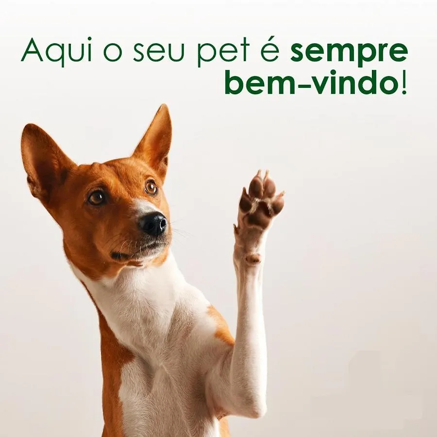 Estiloso E Pertinho Da Praia. Lazer E Trabalho Ресифи
